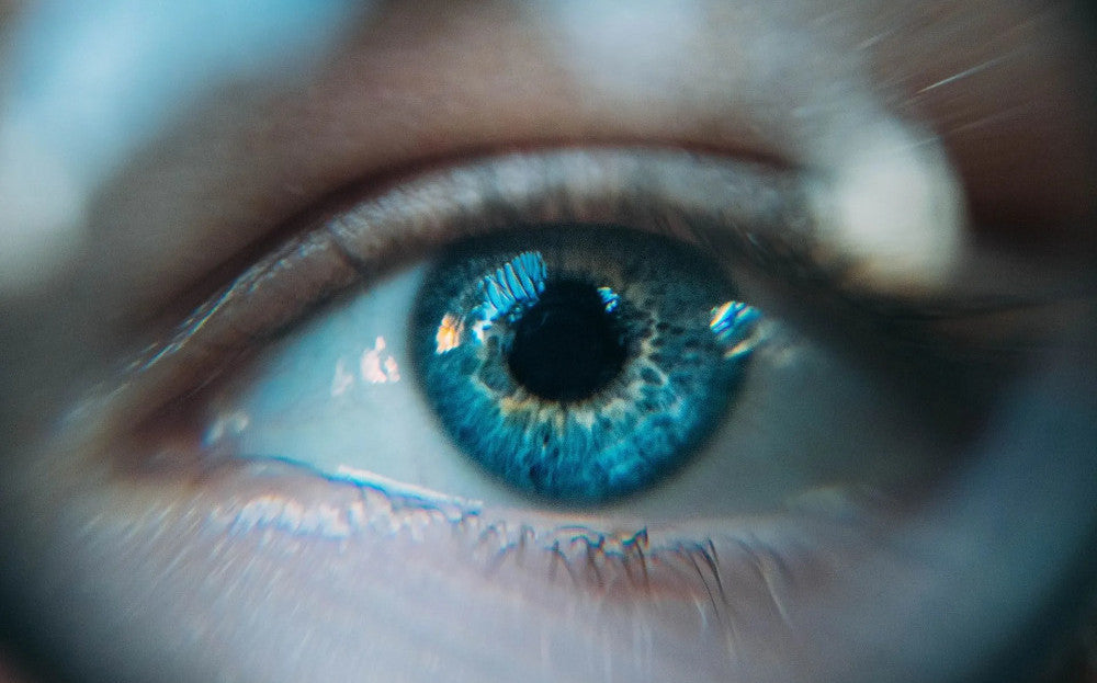 Are Light Coloured Eyes More Sensitive to Blue Light?