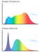 BioLight™ Downlight - Full Spectrum Light Full Spectrum Lighting BlockBlueLight 