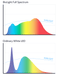 BioLight™ - Full Spectrum Light Full Spectrum Lighting BlockBlueLight 