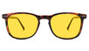 DayMax Taylor Glasses - Tortoise